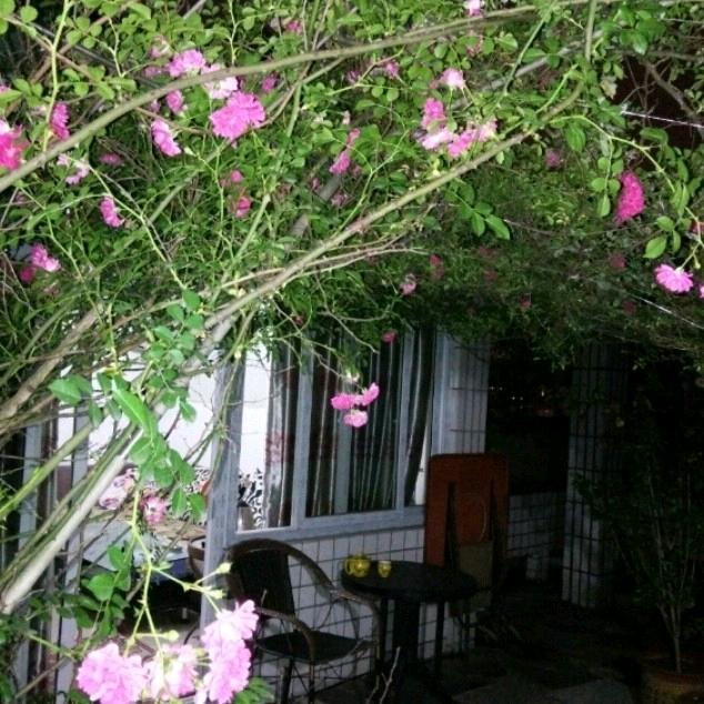 用户2660951186017玉儿