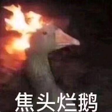 我从未见过有如此厚颜无耻之人