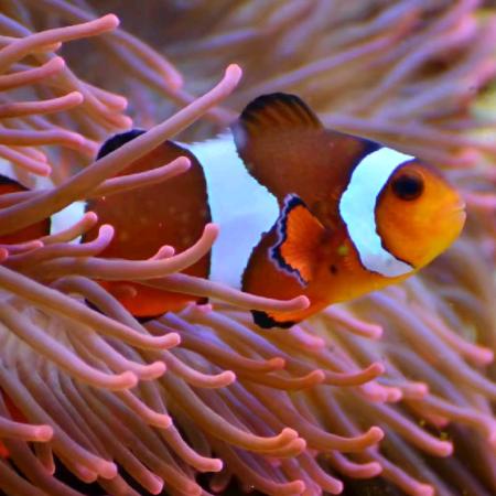 鱼悦时光水族世界
