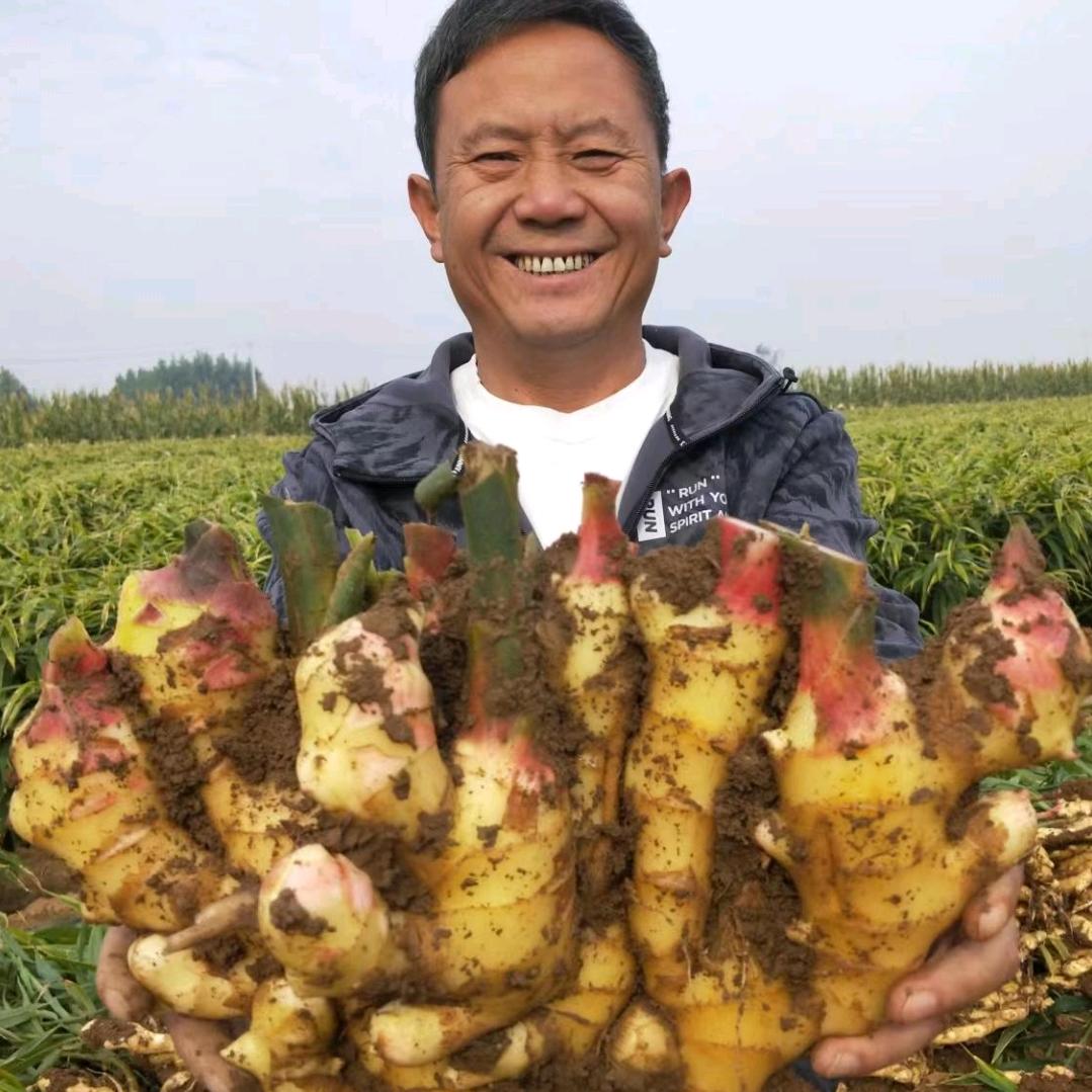 亿丰老王说姜（德国欧迈克套餐）