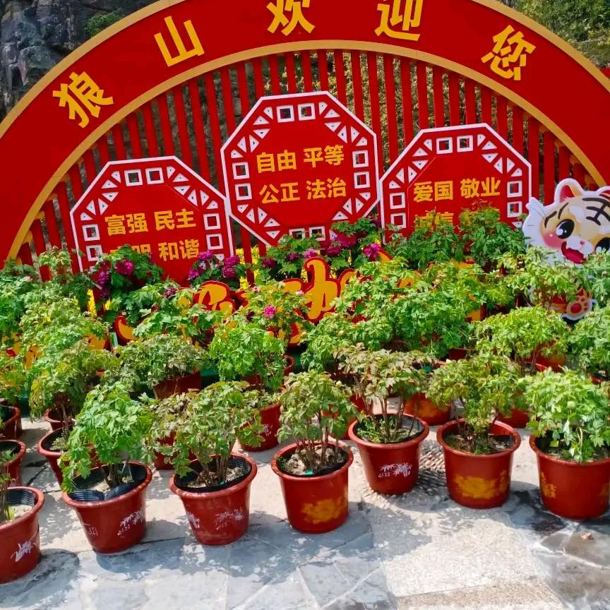 幸福一生油 油漆刮大白金裝俢