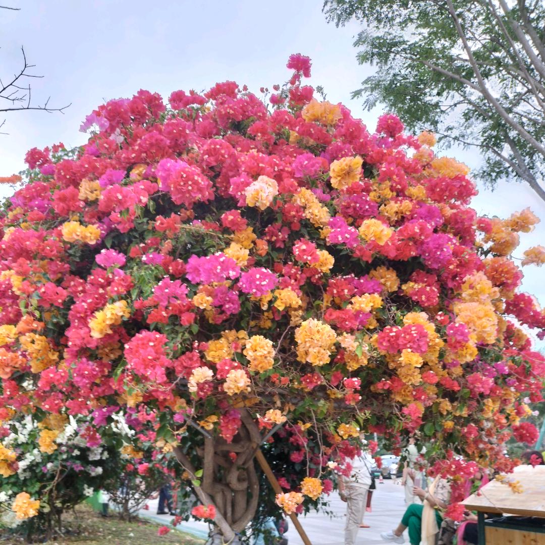 动起来，活力四射！