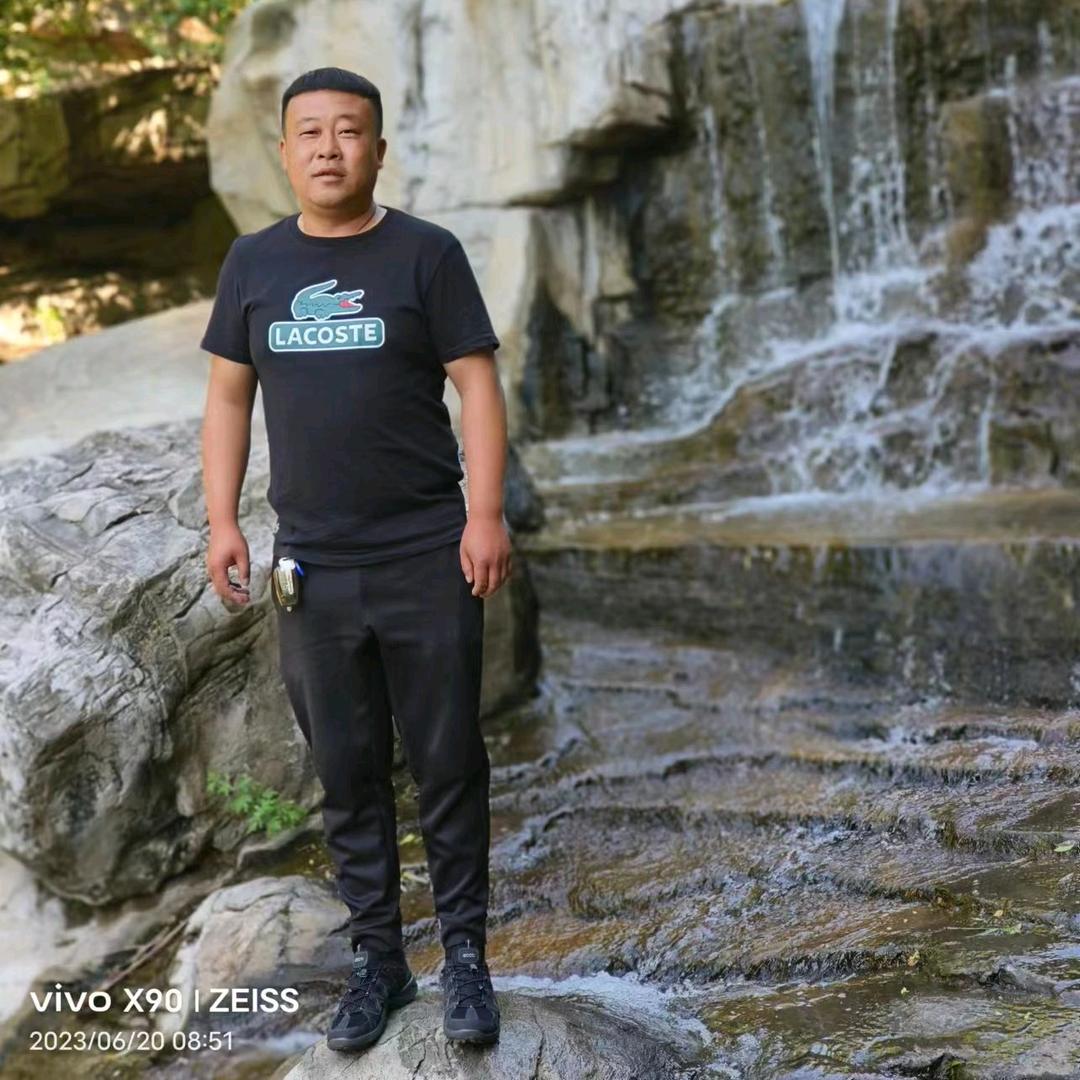 牧鸽人刘建