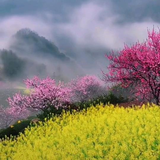 悠悠诗词