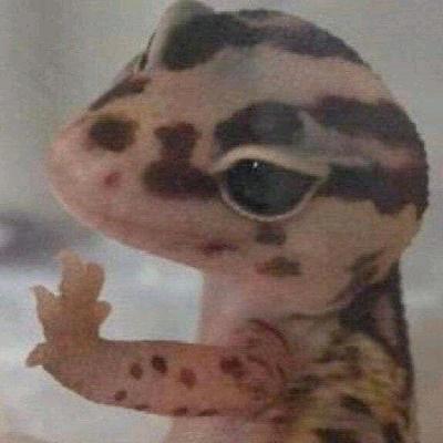 吖  比