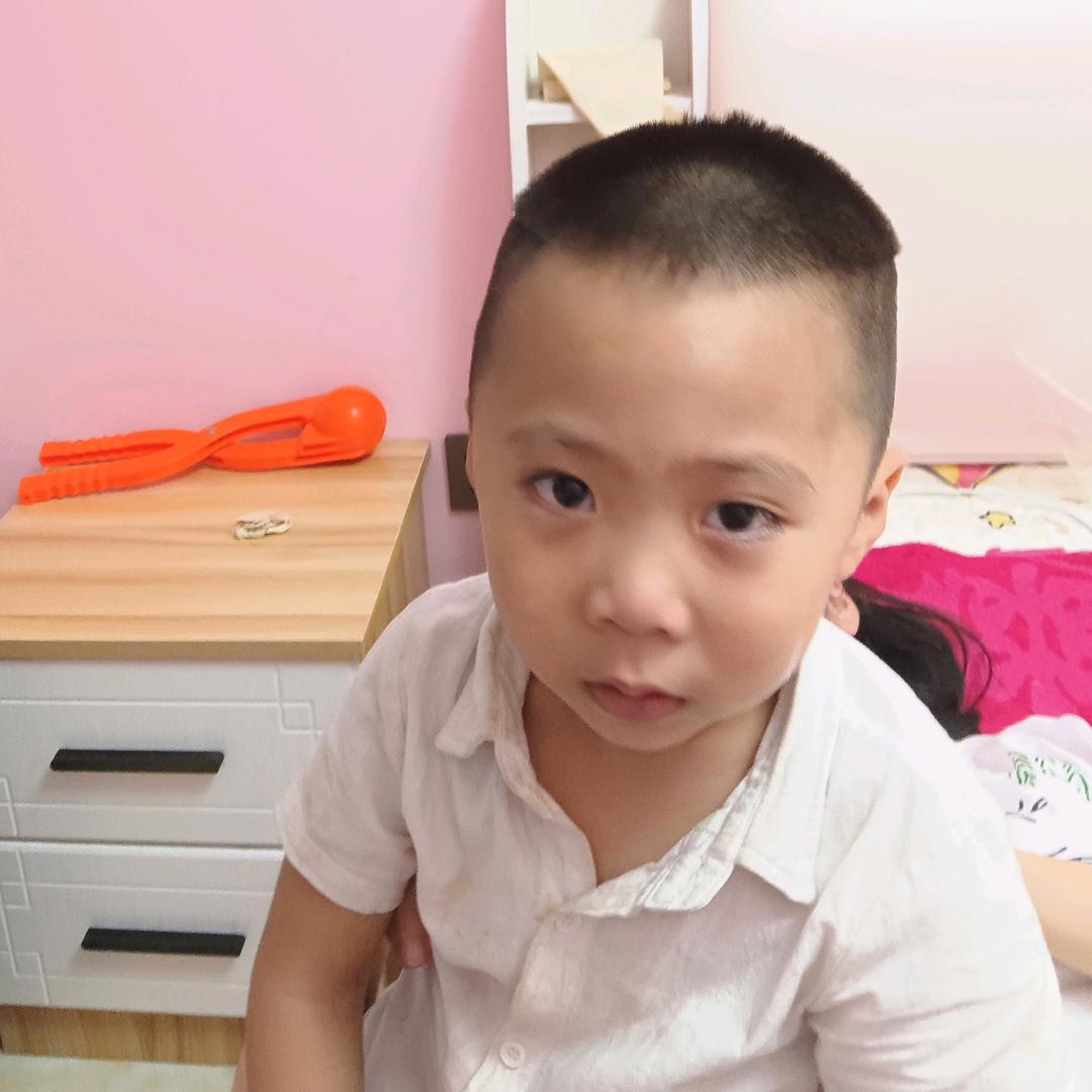 卧龙