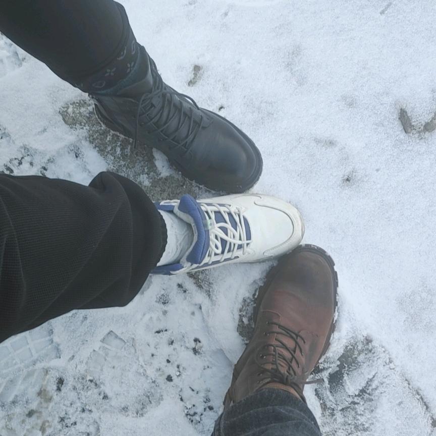 乡村骑士_232659642