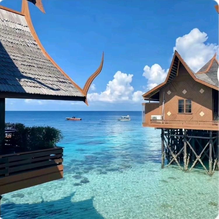 浅若夏沫