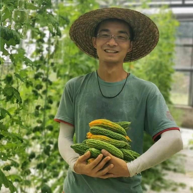 鱼菜高