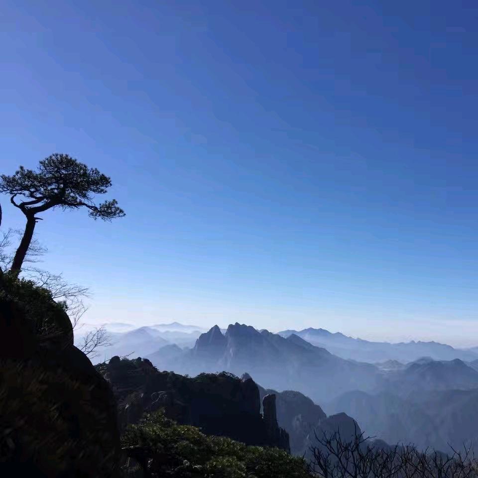 Mr望哥