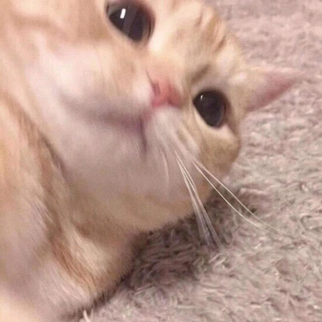 殇璃