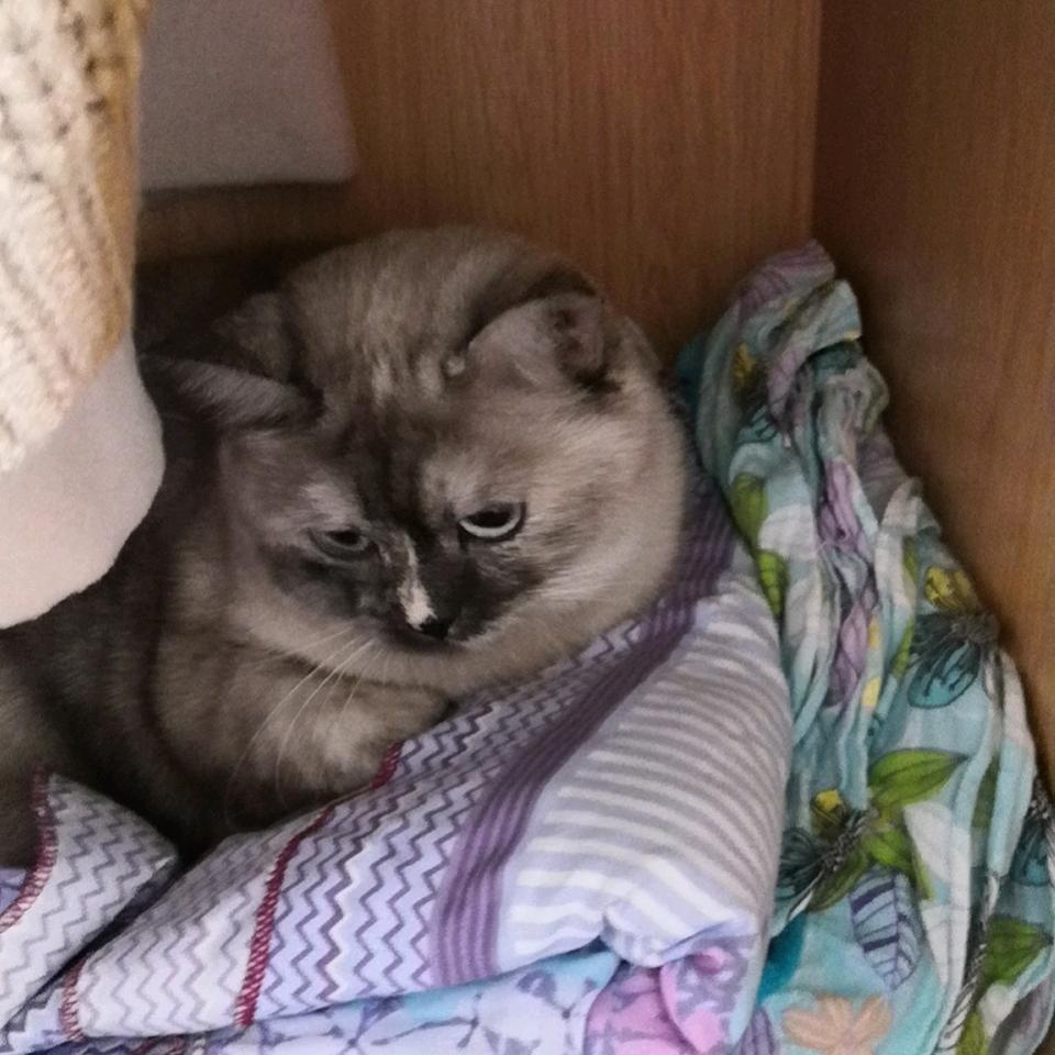 随缘.