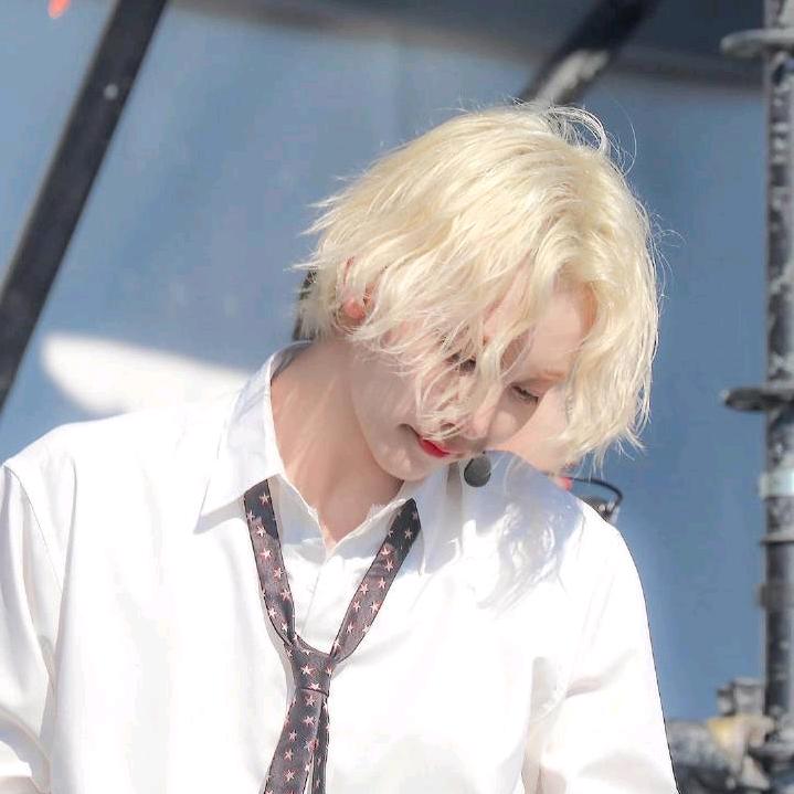 哈尼🐇