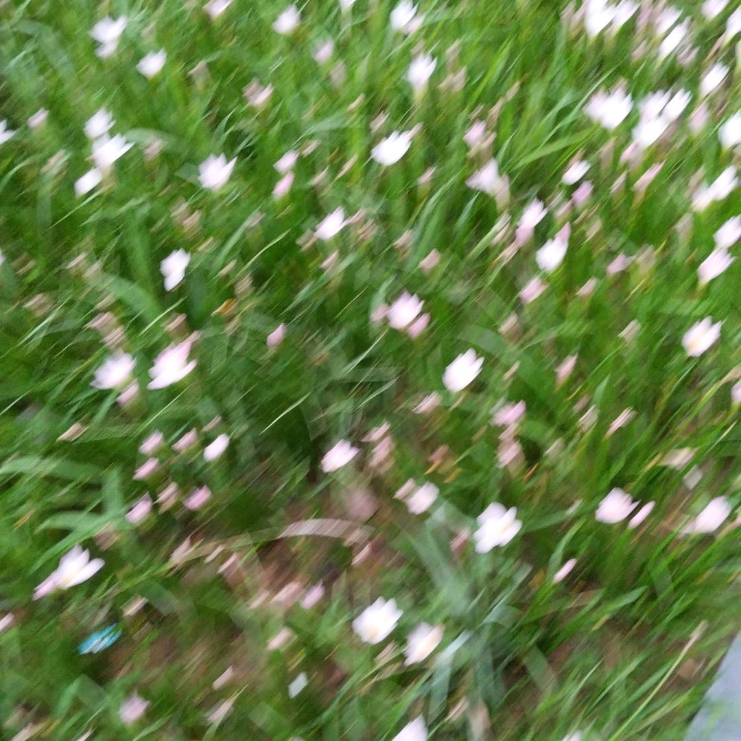 万事如意