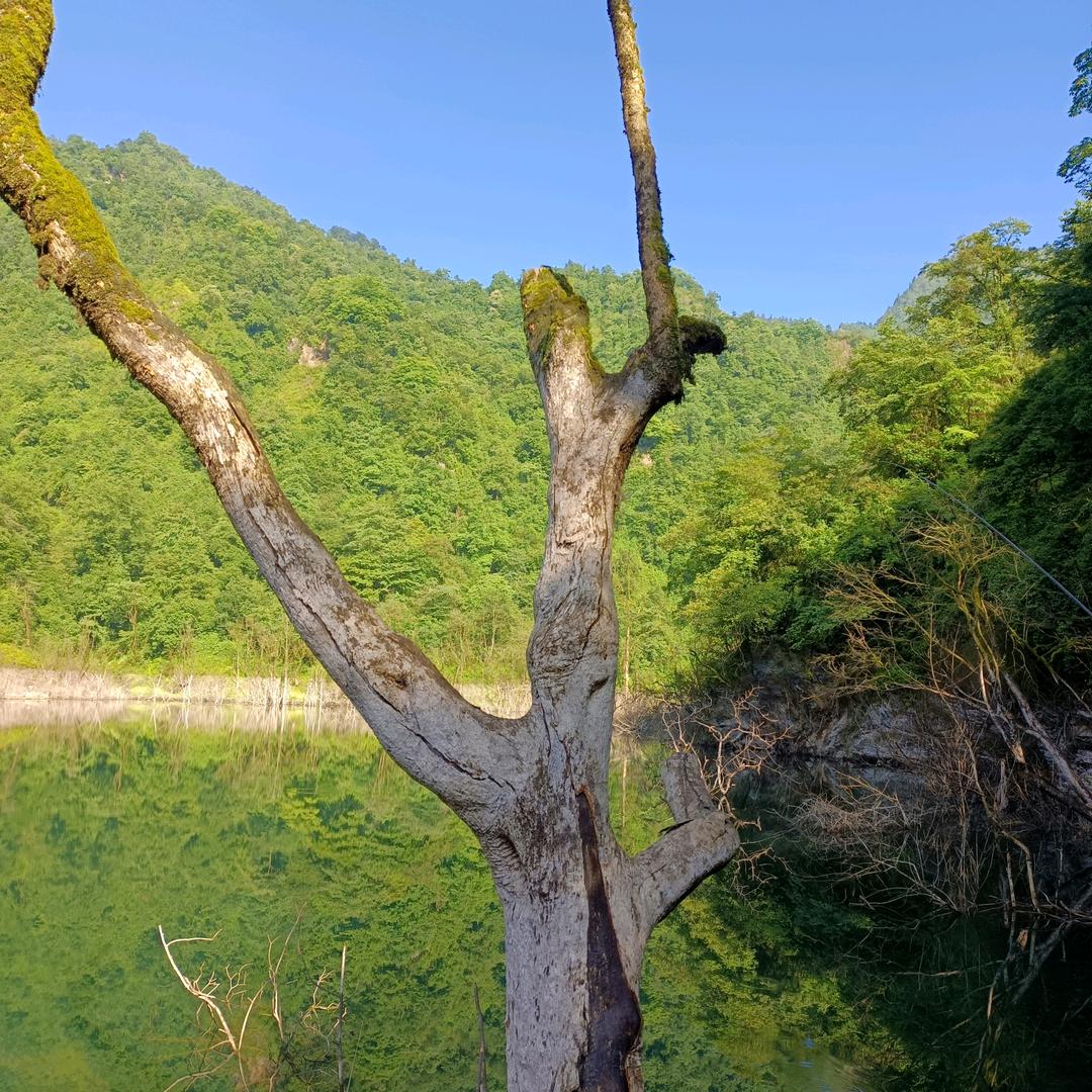 大山情怀