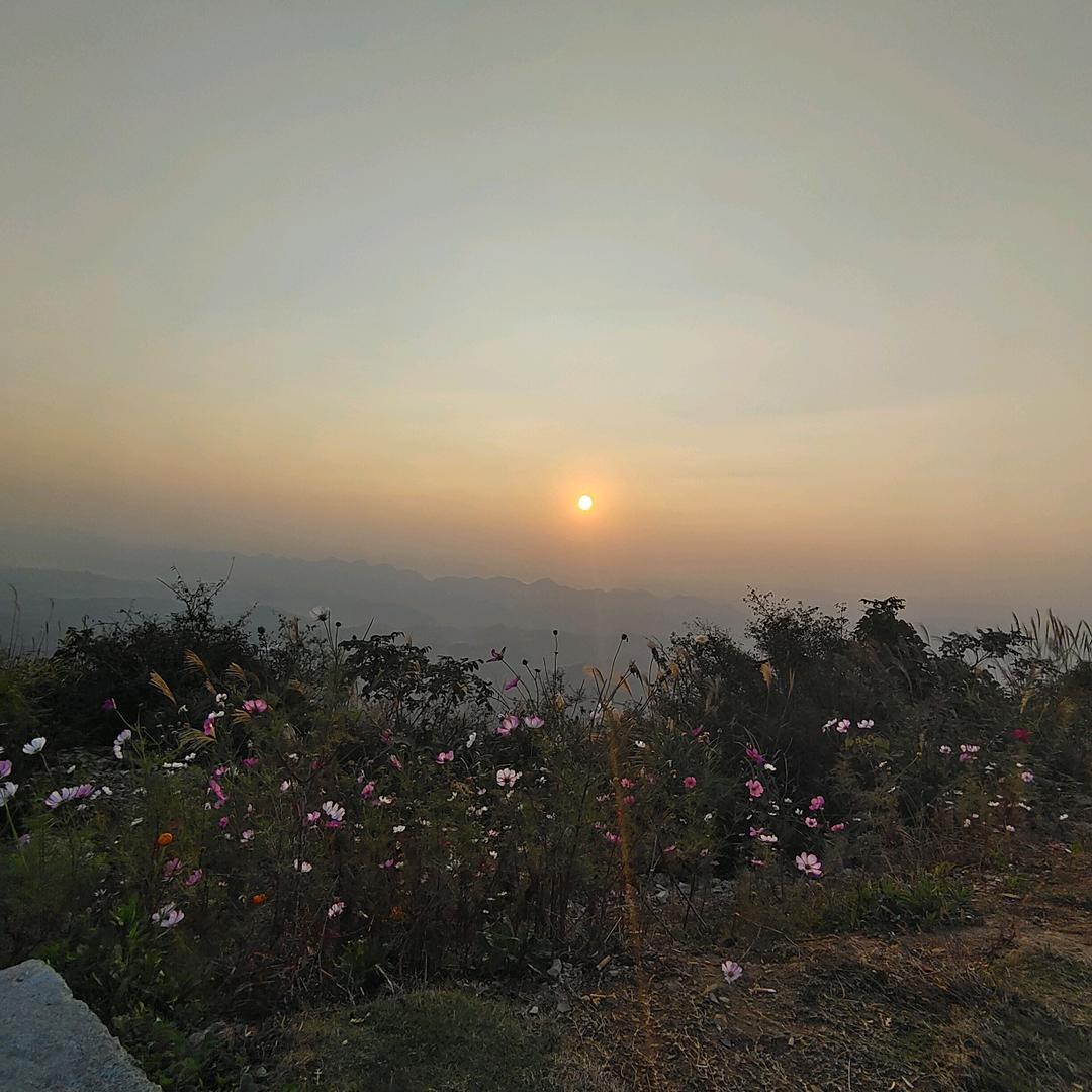 😊陪你春夏秋冬