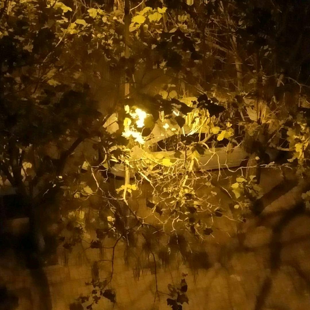 时来运转