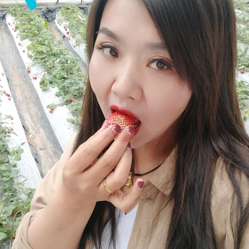 紫藤花@