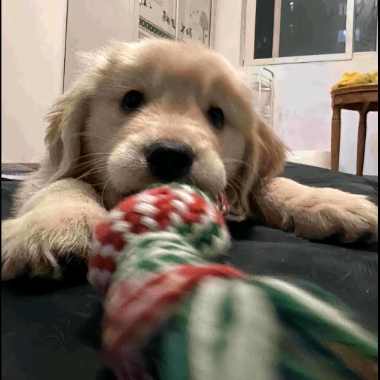 ঞ🍒好运꧔ꦿ᭄加满