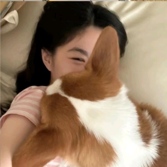 小包菜