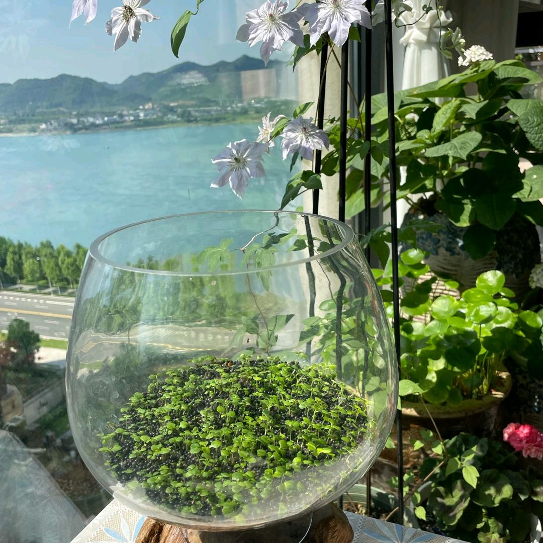 水上时光