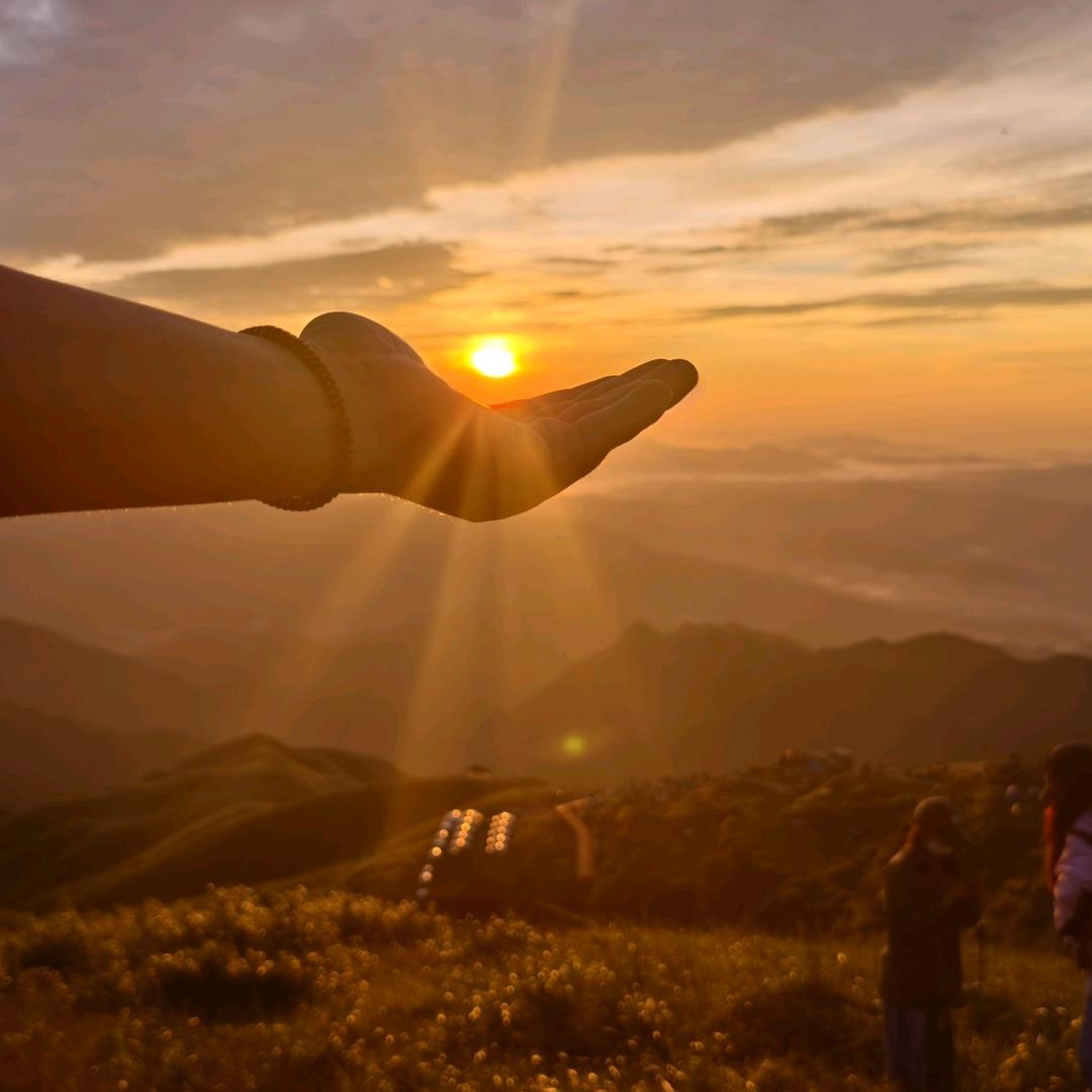 红芋头（三角洲行动）