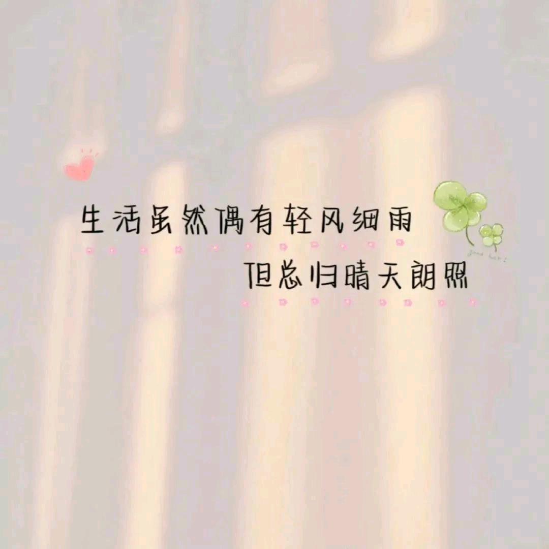 阳哥没腹肌，三角洲滴滴