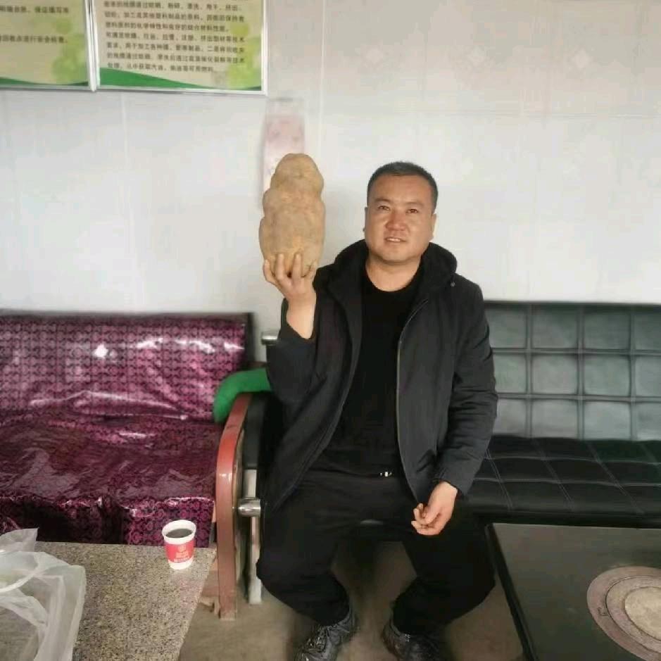 定西锦花忙农农牧农民专业合作社