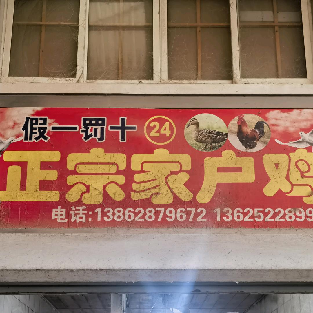 人民桥农贸市场24号家禽门市