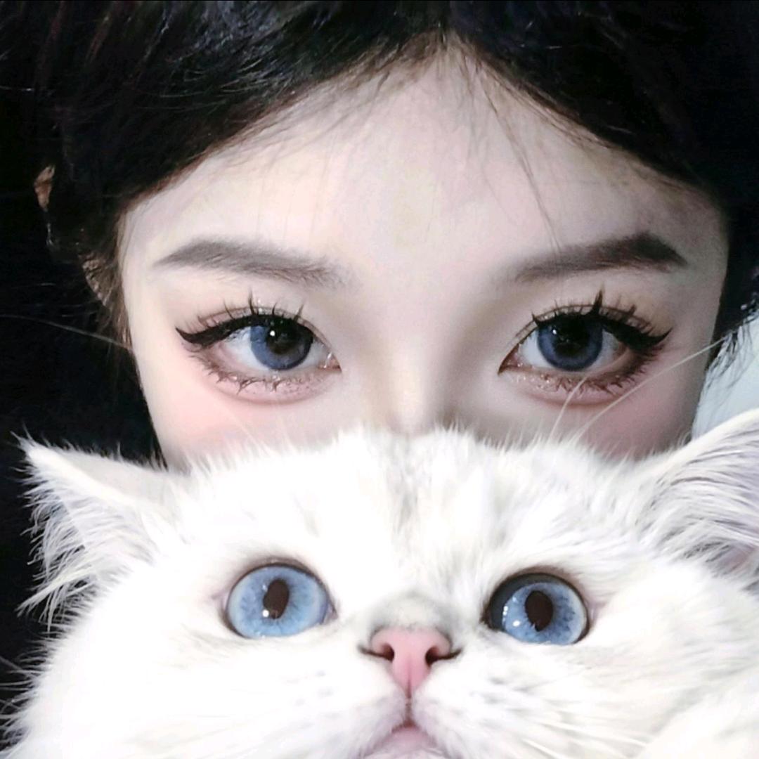 布讲栗猫