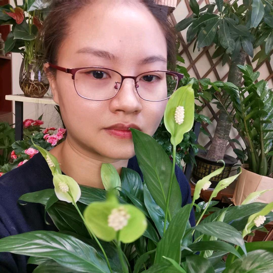 小尹绿植森林
