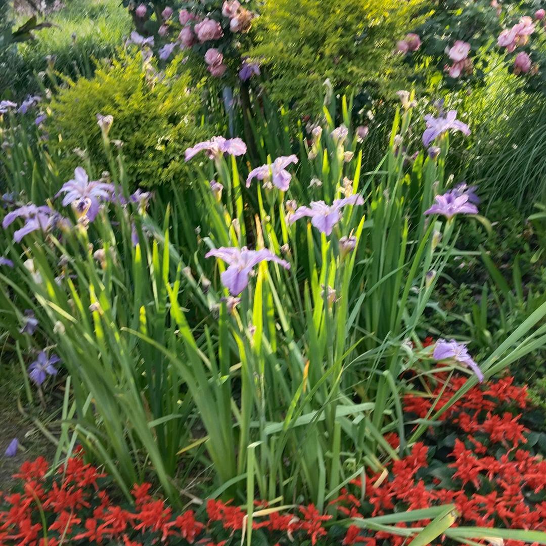 平平淡淡才是真
