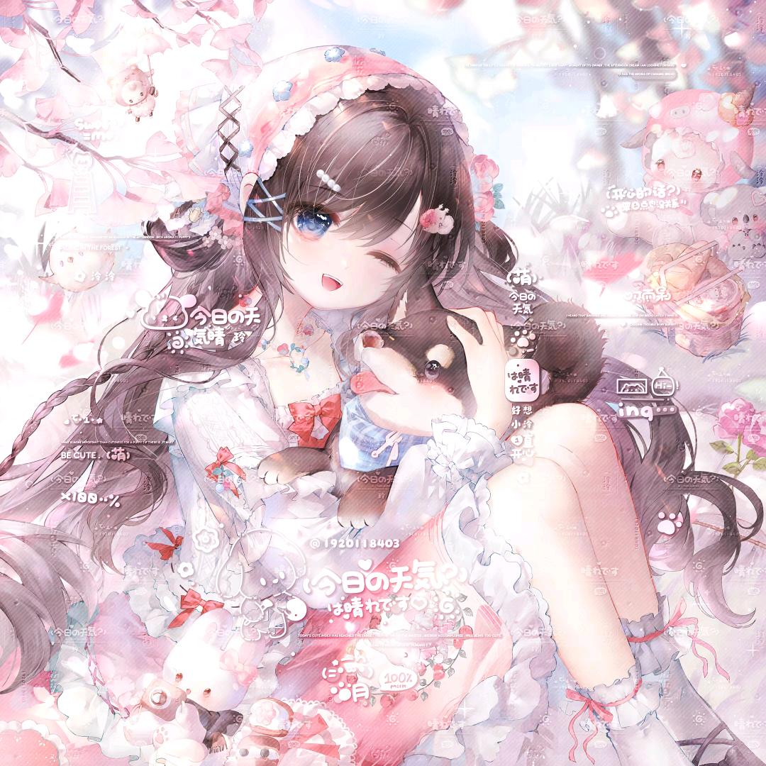 鲤