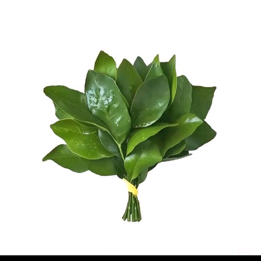 🍀L多金