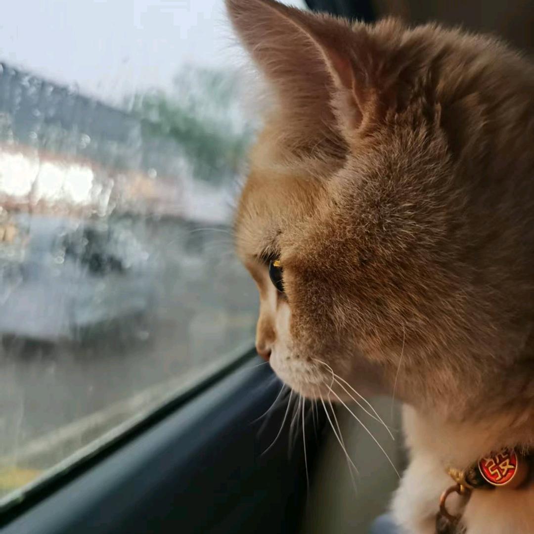 下周三是星期几