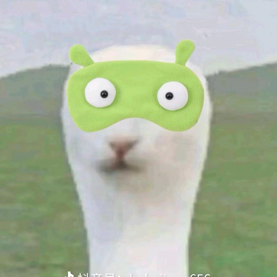 good猫宁