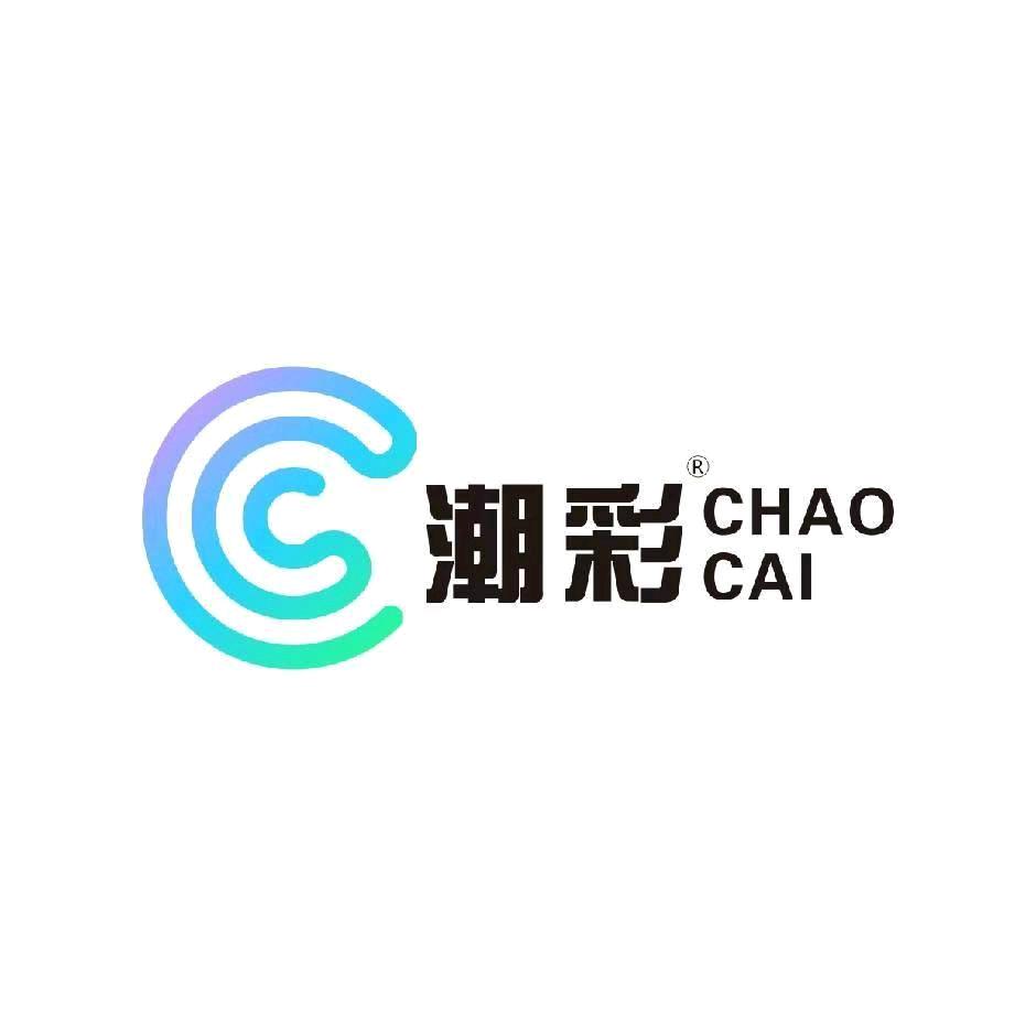 潮彩车膜～春丽