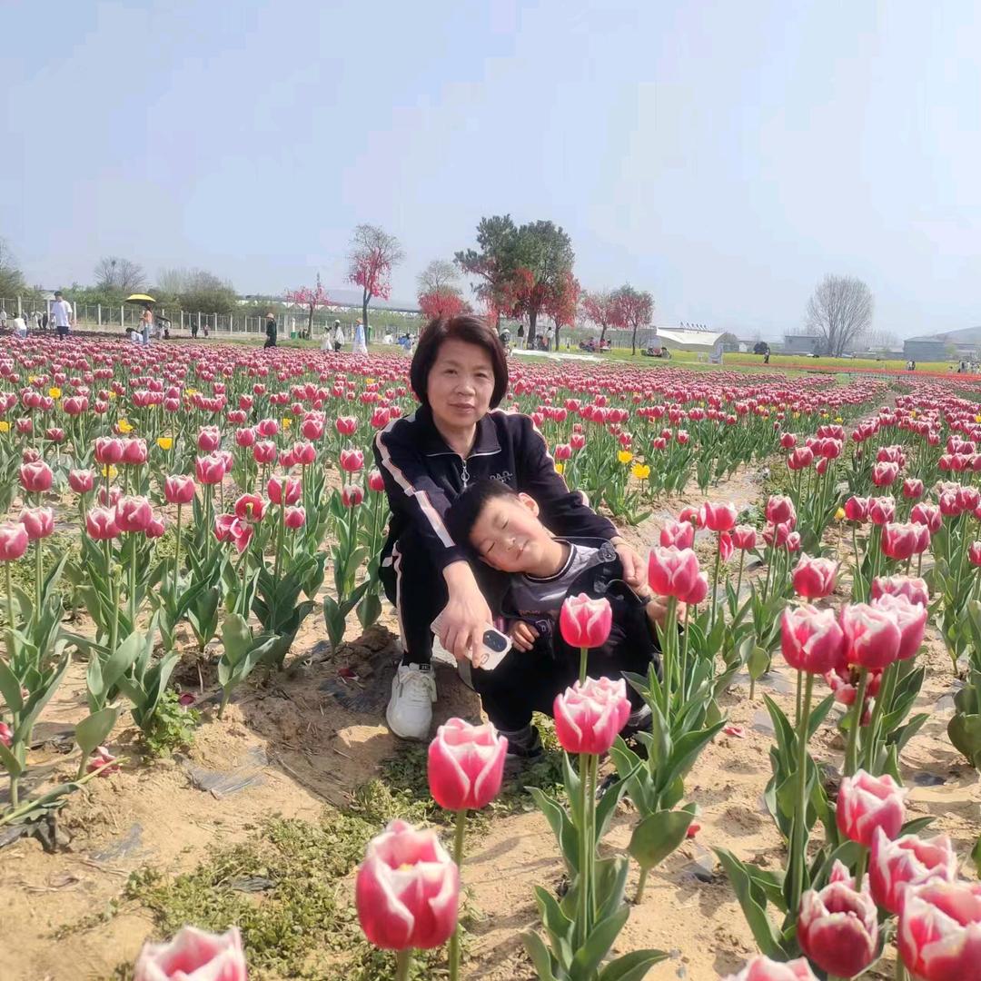 花开半夏