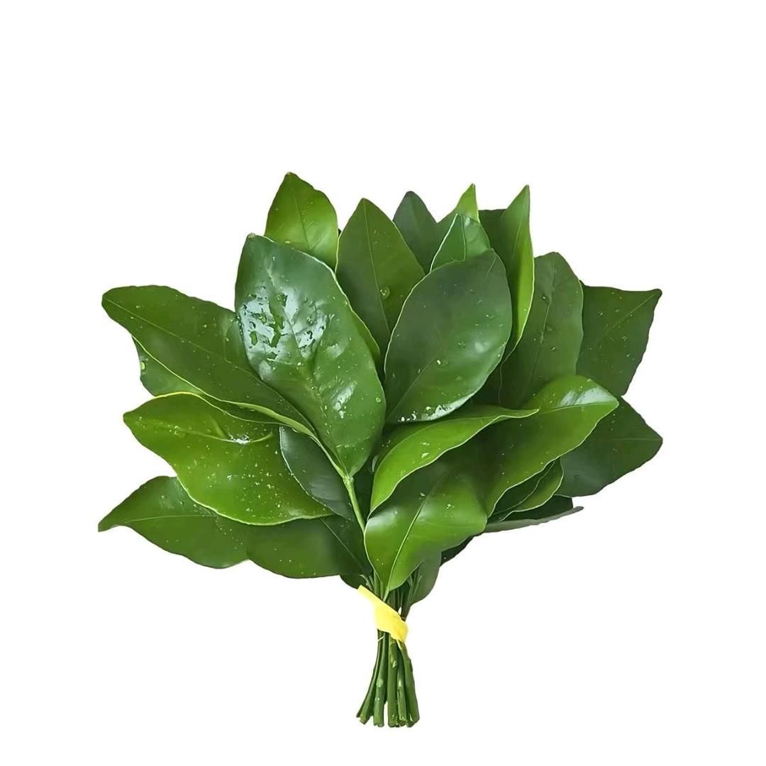花开富贵🏵️