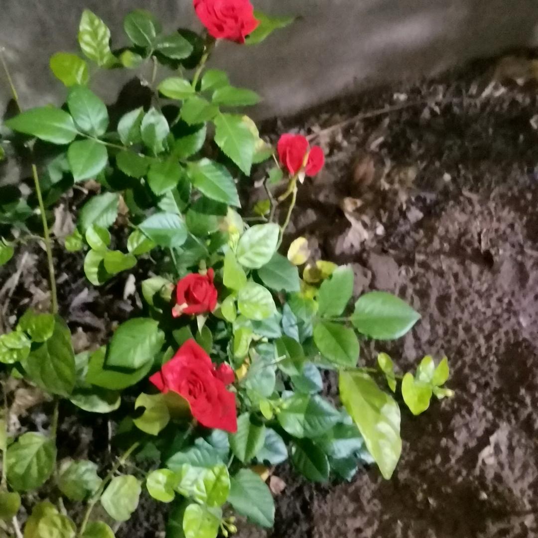 越来越好，往后余生，