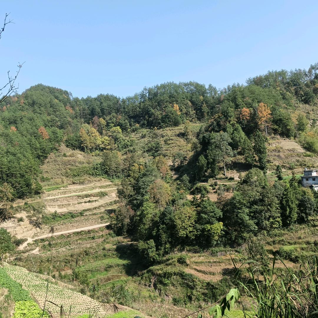 山好水好𡿨彭）