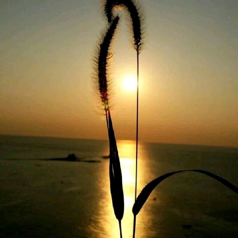 为你隐姓埋名。