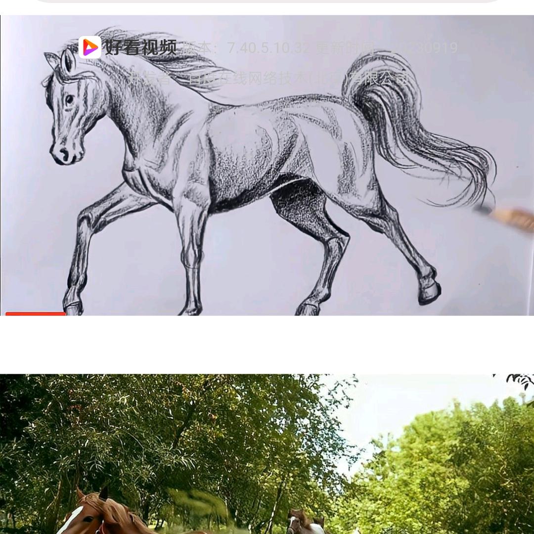 忠哥₍˄·͈༝·͈˄*₎◞ ̑̑