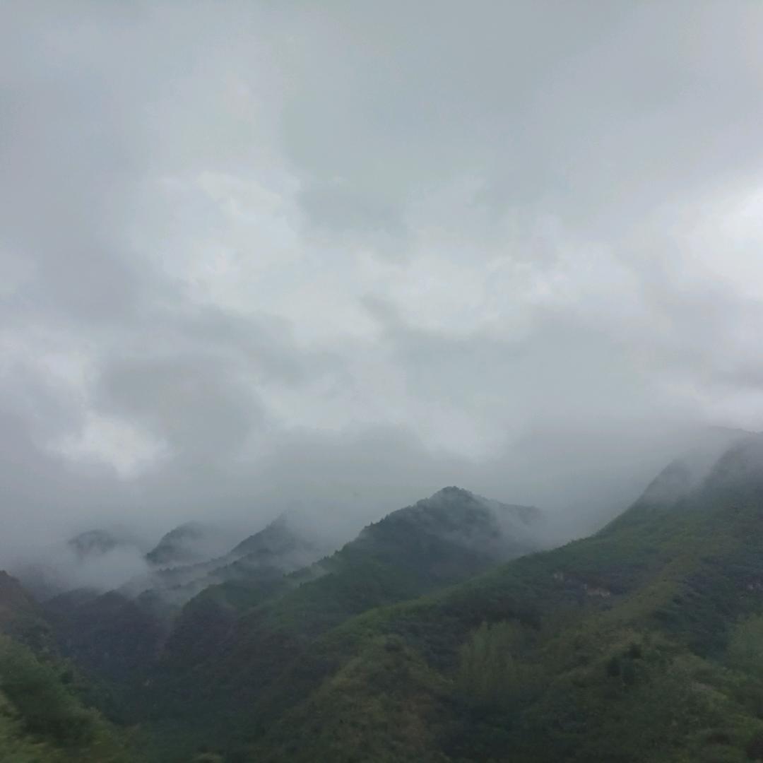 果果