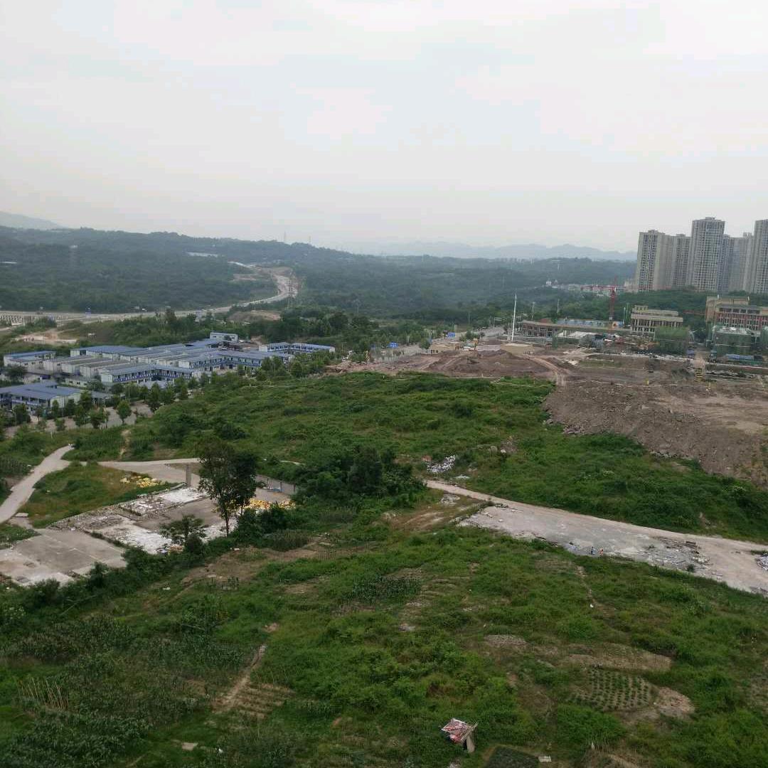 丶风雨路