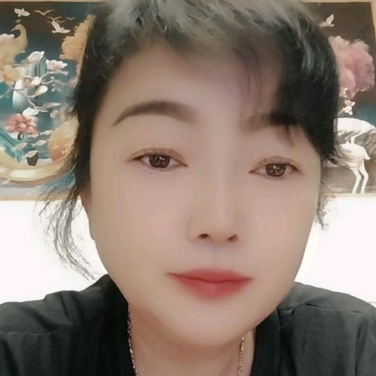 小余宠物