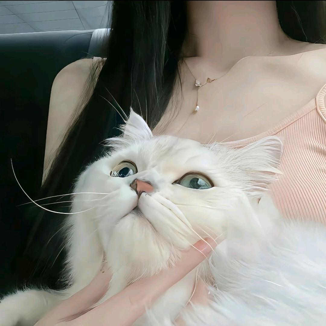 阿喵喵喵啾