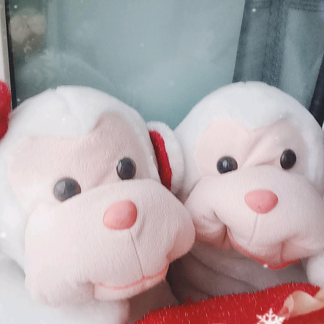 福汇