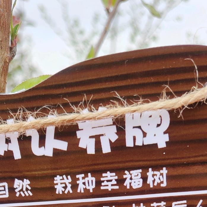 金典搞笑