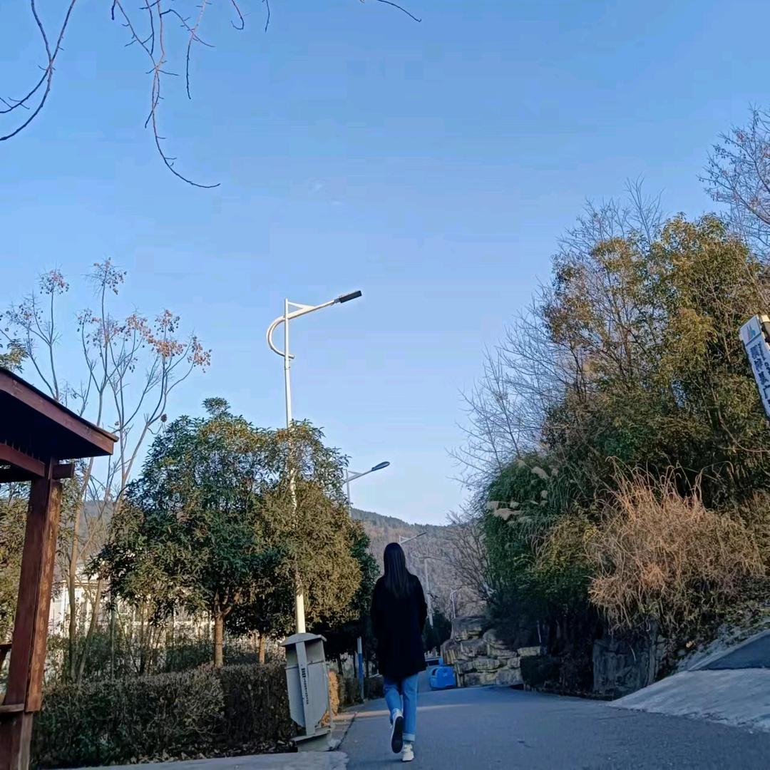 珊